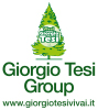 Giorgio Tesi Group